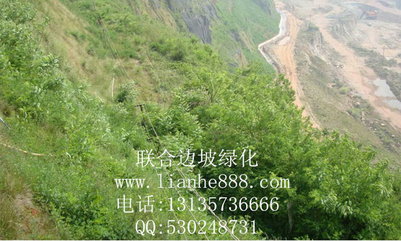 1716884792827027.jpg 20180109181303390.jpg