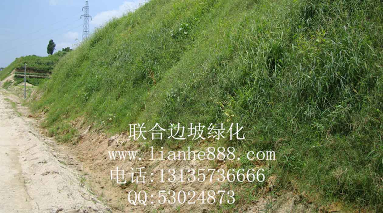 1718848216118126.jpg 20240603160601.jpg